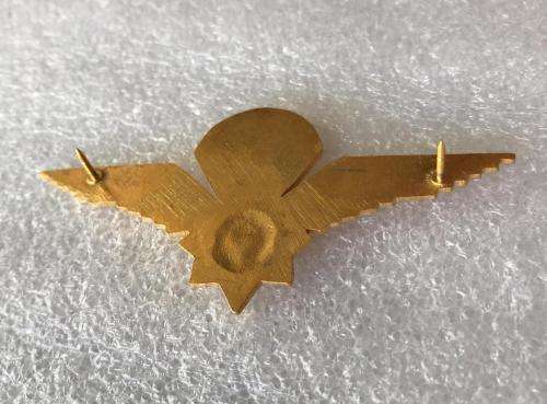 POLICE TASK FORCE WING 2ND TYPE- 2 PINS