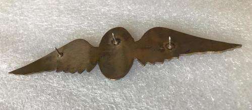 SA PARA LARGE WING-MEASURES 122MM IN GILT & ENAMEL-UNKNOWN TO ME- 3 PINS