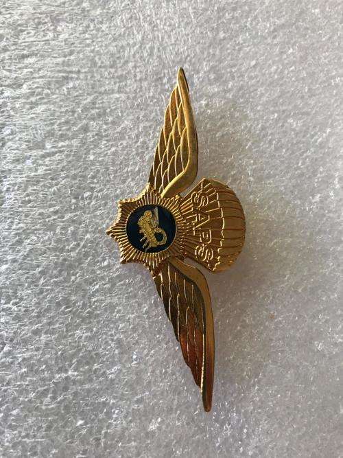 Police Task Force parawings