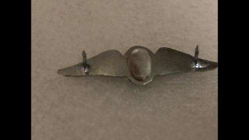 SA UNOFFICIAL MESSDRESS PARACHUTE INSTRUCTOR, NIGHT JUMP WINGS - NO SUCH WINGS WERE WORN - 2 PINS