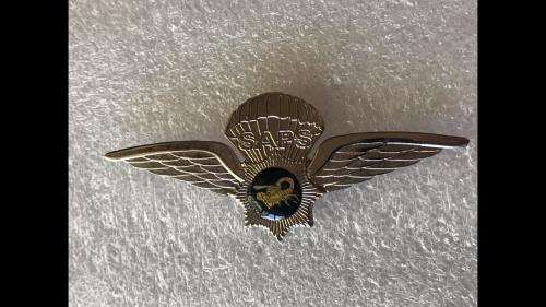 POLICE TAKS FORCE PARAWINGS IN CHROME - 2 PINS