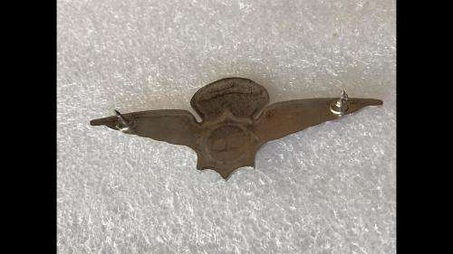 POLICE TAKS FORCE PARAWINGS IN CHROME - 2 PINS