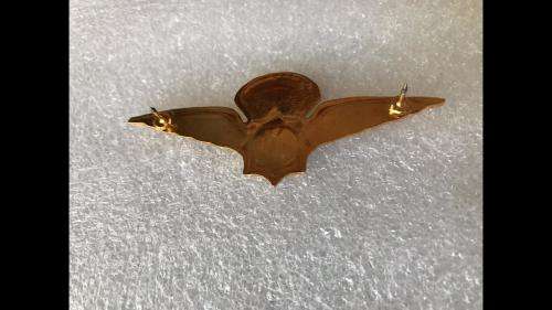 POLICE TASK FORCE PARAWINGS IN GOLD - 2 PINS