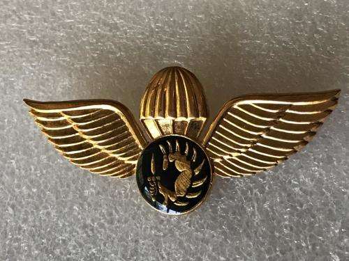 SA COIN(COUNTER-INSURGENCY) SECURITY PARACHUTINT WING - 2 PINS