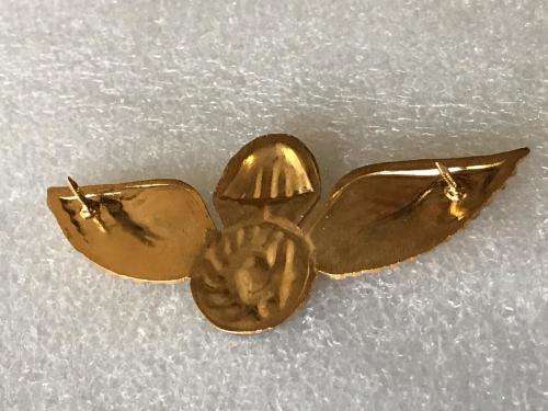 SA COIN(COUNTER-INSURGENCY) SECURITY PARACHUTINT WING - 2 PINS