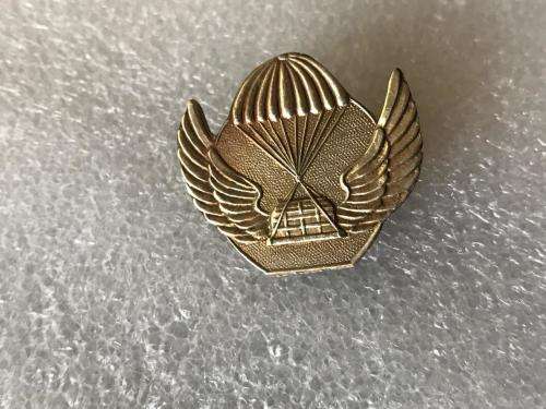 ISRAEL AIR SUPPLY BADGE