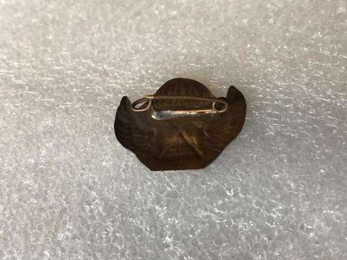 ISRAEL AIR SUPPLY BADGE