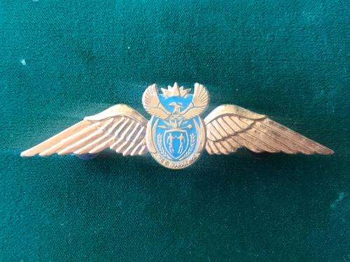 SAAF CURRENT PILOTS WING IN GOLD-2 PINS