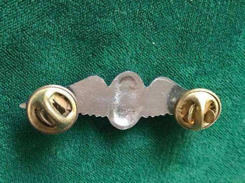 SA PARA FREEFALL INSTRUCTORS,CHROME & ENAMEL,MESS DRESS WING- 2 PINS