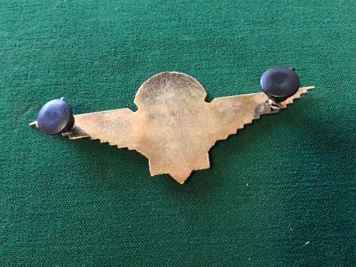 TASK FORCE PARA WING- 2ND TYPE- 2 PINS