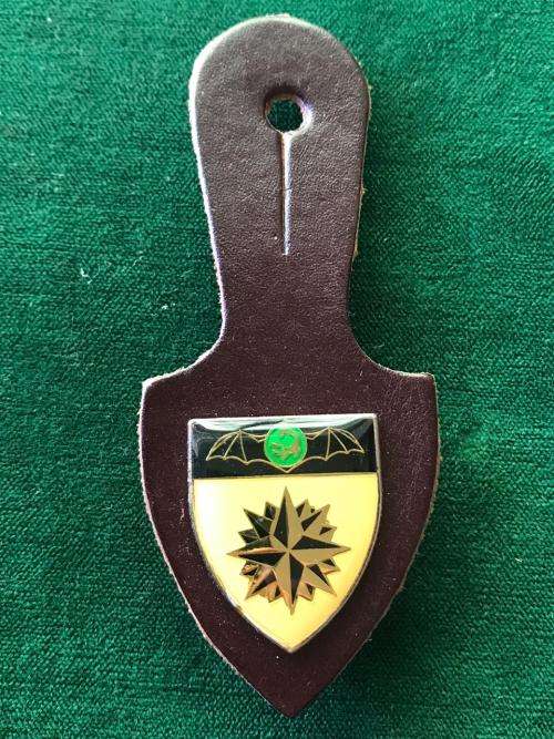 2 RECCE COMMANDO,ORIGINAL FOB BADGE WITH LIGHT GREEN ROUNDEL- 2 PINS