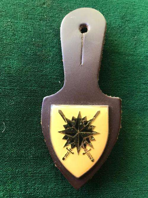 RECCE HEADQUARTERS FOB BADGE-ORIGINAL- 2 PINS