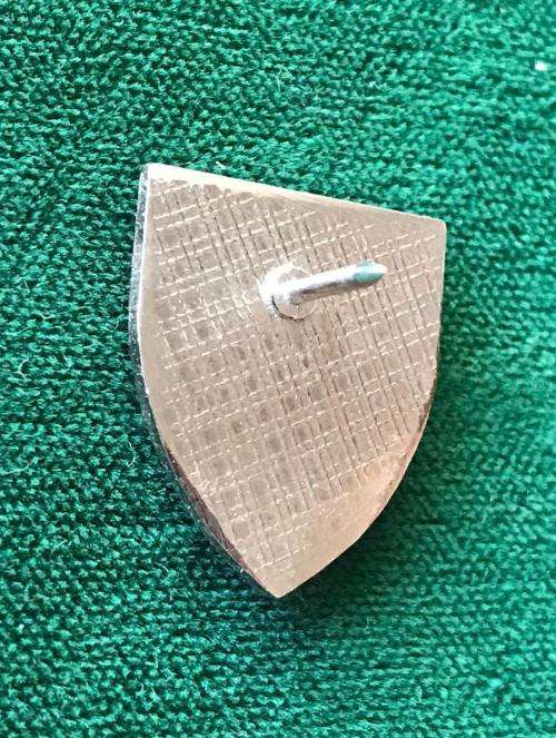 1 RECCE LAPEL PIN- ORIGINAL- ONE PIN