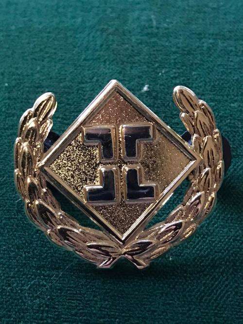 SAAF INTELLIGENCE BREAST BADGE-FULL SIZE-APPROVED IN 1994- 2 PINS