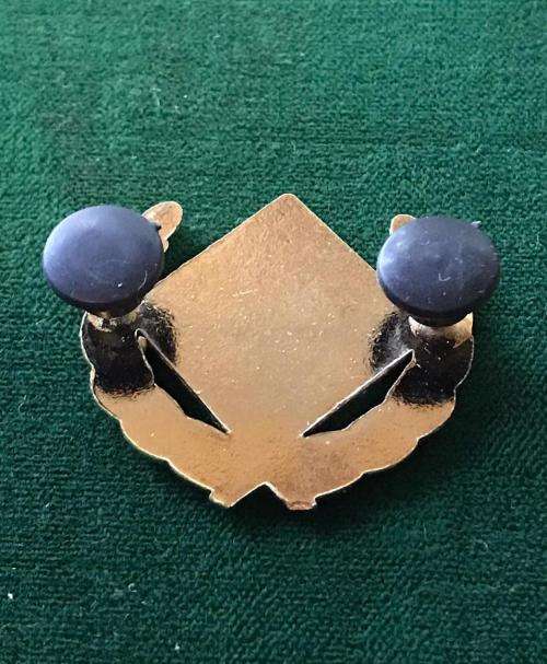 SAAF INTELLIGENCE BREAST BADGE-FULL SIZE-APPROVED IN 1994- 2 PINS