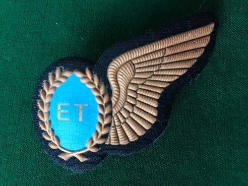 SAAF ELECTRONICS TECHNICIAN TUPPER WING IN BRONZE- 2 PINS
