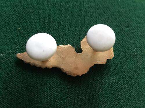 SAAF RADIO OPERATOR MESS DRESS BADGE IN GOLD-WORN 1992-2003- 2 PINS