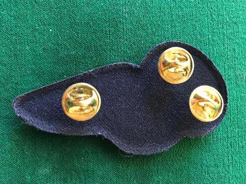 SAASF FLIGHT ENGINEER TUPPER WING IN GOLD-3 PINS