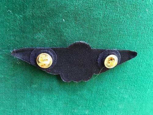 SAAF TUPPER PILOTS WING IN BRONZE-WORN POST 2003- 2 PINS