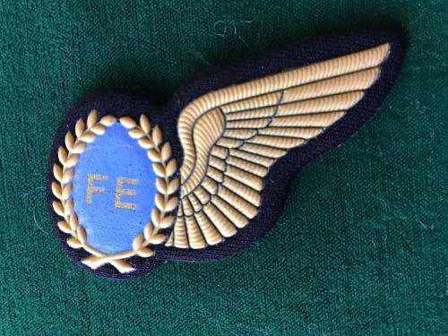 SAAF FLIGHT ENGINEER-TUPPER - GOLD WING