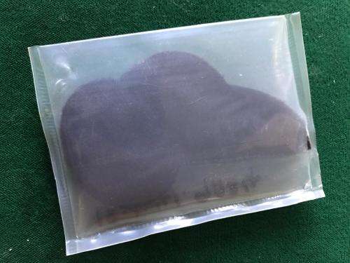 SAAF AIR PHOTOGRAPHER SILVER WIRE EMBROIDERED WING- STILL SEALED