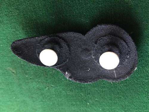 SAAF ,CHEFF, SILVER -TUPPER WING- 2 PINS