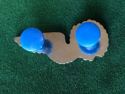 SAAF ELECTRONIC WAR FARE MESS DRESS WING IN SILVER- 2 PINS