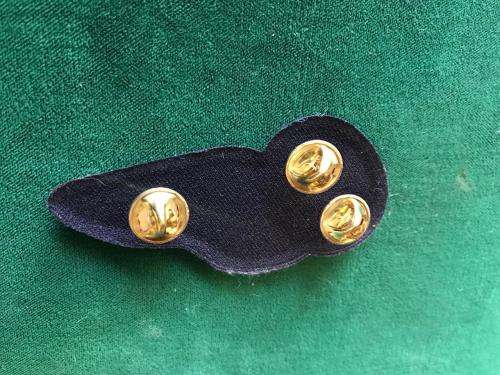 SAAF FLIGHT ATTENDANT TUPPER WING IN BRONZE- 3 PINS