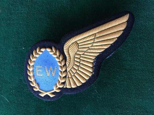 SAAF ELECTRONIC WARFARE TUPPER WING IN GOLD- 2 PINS
