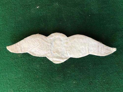 SA ARMY AIR RECCE WING