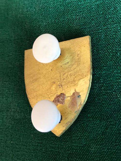 SADF EQUESTRIAN CENTRE TRACKER CLASS 3 (IN GREEN) PROFICIENCY BADGE-APPROVED IN 1982- 2 PINS