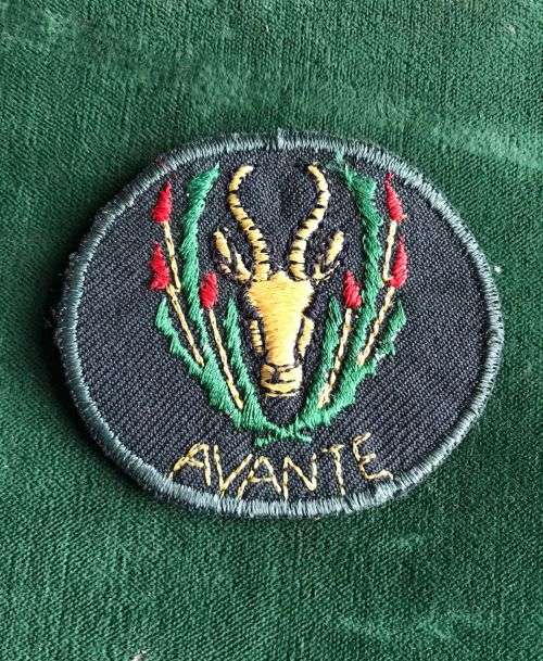 5 SA INFANTRY BERET BADGE-EARLY 1980`S