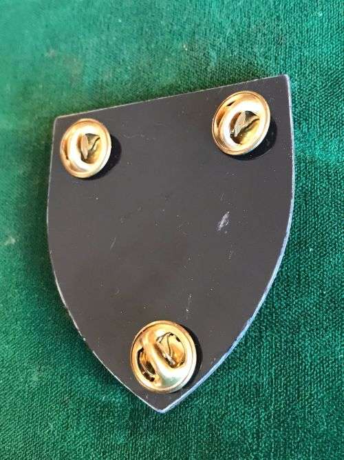 SA ENGINEERS 6 FIELD SQUADRON FLASH- 3 PINS