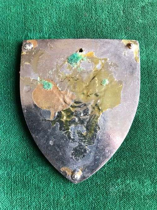 DANIE THERON COMBAT SCHOOL FLASH- NO PINS