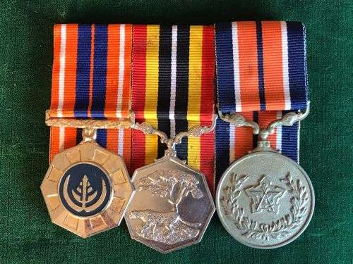 FULL SIZE SADF, BORDER WAR PERIOD MEDAL GROUP -THE MEDALS ARE ALL NUMBERED
