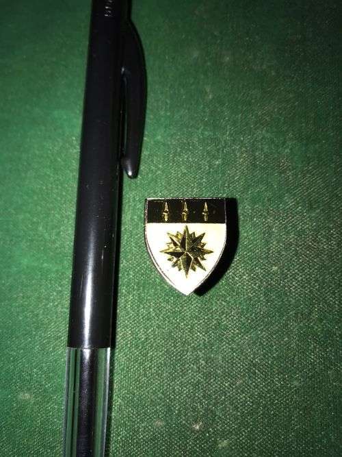 1 RECCE LAPEL PIN-IVORY CLOURED- ORIGINAL