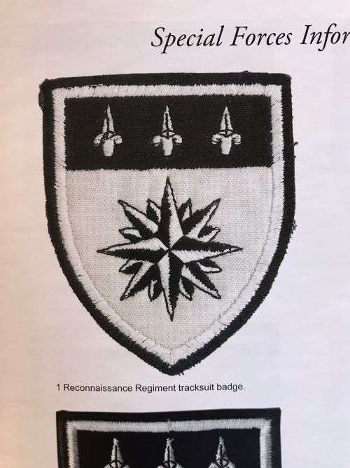 GUARANTEED ORIGINAL 1 RECCE REGT. TRACKSUIT BADGE