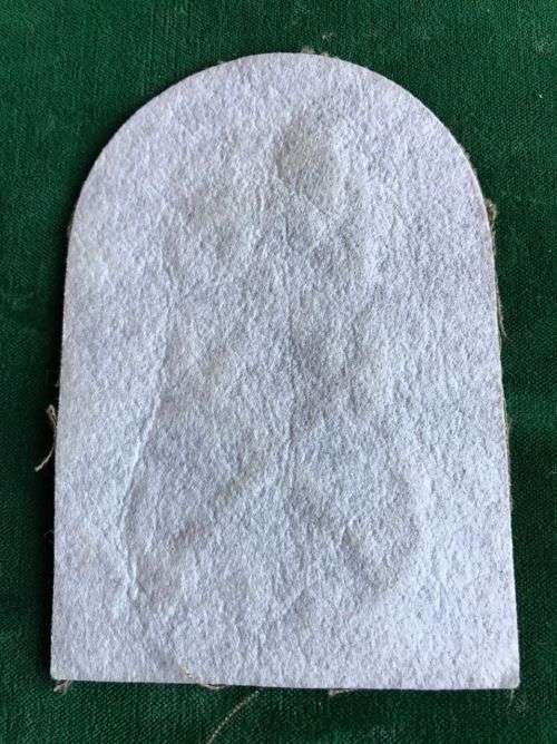 SA NAVY MARINES PETTY OFFICER RANK-PRINTED