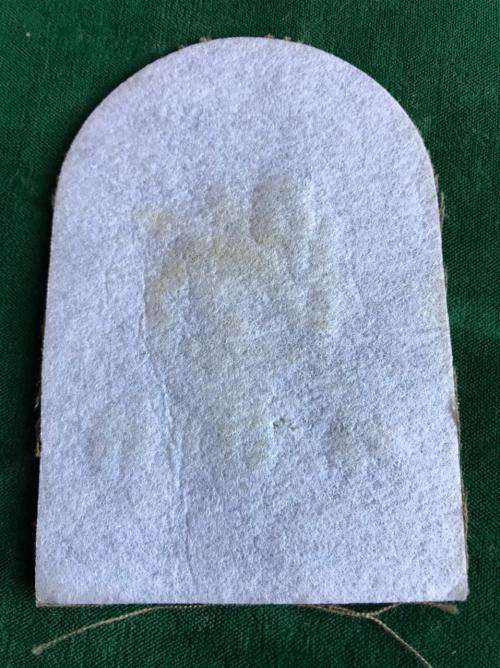 SA NAVY MARINES CHIEF PETTY OFFICER RANK-PRINTED