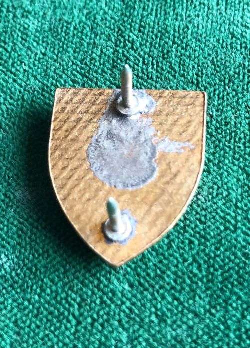 SA ARMOUR PIN BADGE OR CRAVAT BADGE- 2 PINS