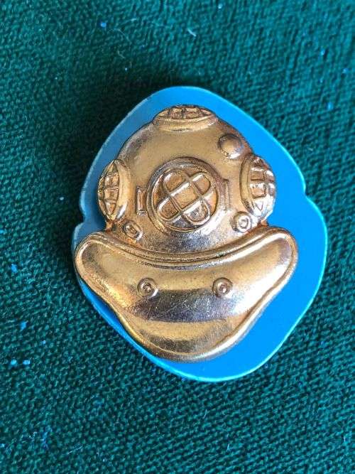 SA NAVY DIVER PART 1 WITH BLUE PLASTIC BACKING -APPROVED IN 1988- 2 PINS