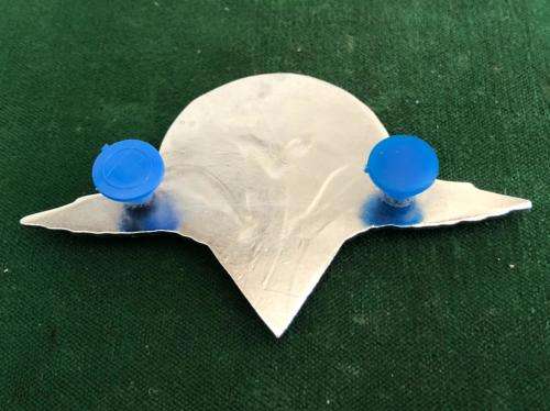 1 PARACHUTE BATTALION OFFICERS BERET BADGE-THIS BADGE WAS WORN FOR A SHORT PERIOD BY SOME OFFICERS-2