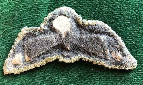 RHODESIA ARMY PARATROOPER WING-FIELD UNIFORM-PADDED-1960`S-1980