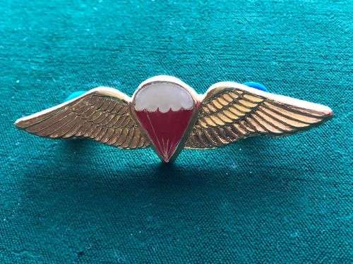 SA PARACHUTE FREE FALL WING-GILT WINGS AND LUCITE COVERED CENTRE-FULL SIZE-WORN FROM 1970`S- 2 PINS
