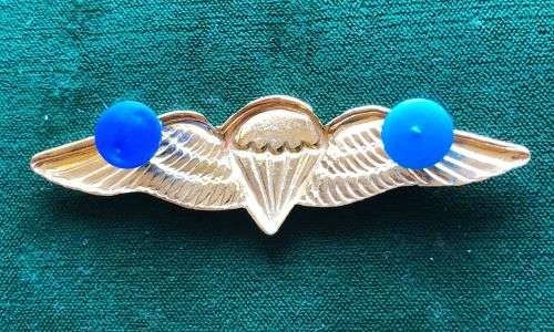 SA PARACHUTE FREE FALL WING-GILT WINGS AND LUCITE COVERED CENTRE-FULL SIZE-WORN FROM 1970`S- 2 PINS