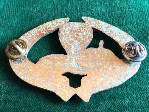 ANGOLA SPECIAL FORCES OPERATORS BREAST BADGE-1ST ISSUE-WORN 1978-86-GILDING METAL-2 PINS