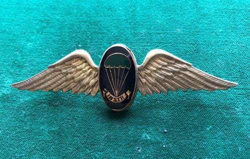 SA PARA INSTRUCTORS,NIGHT JUMPERS,FULL SIZE WING-BLACKENED WINGS WITH BLACK ENAMEL CENTRE-2 PINS-NEV