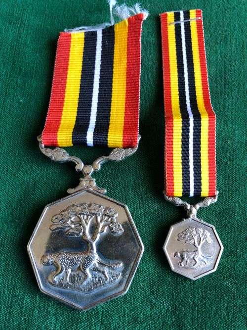 SOUTHERN AFRICA MEDAL-FULL SIZE-NUMBERED-SOLD WITH MINIATURE 1987-1990