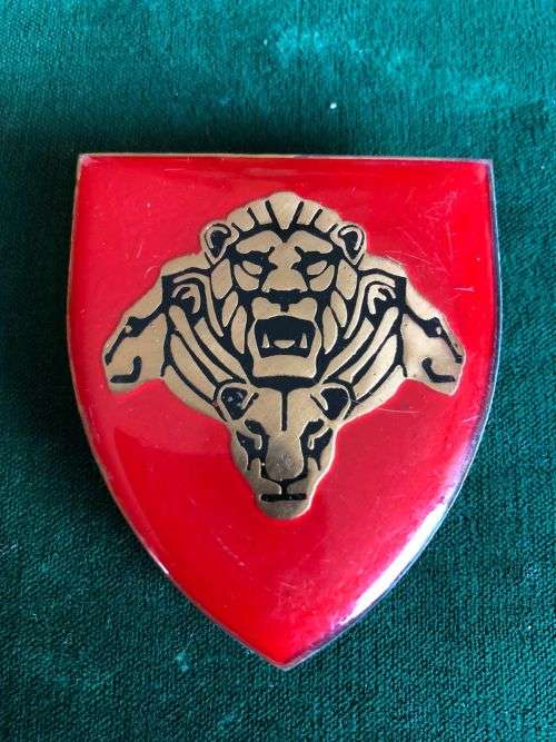 PRIDE OF THE NATION SHOULDER FLASH- 3 PINS