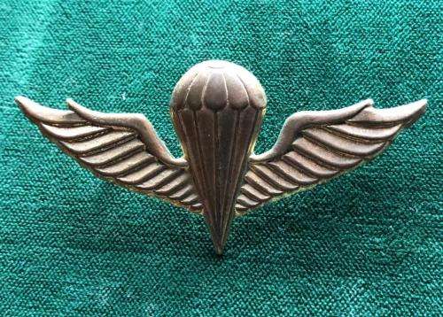REPUBLIC OF KOREA,BASIC (NAVY) PARA WING- 2 PINS